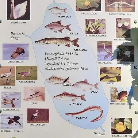 Urokliwy Blisko Jeziora Zarnowieckiego, Feriehus *