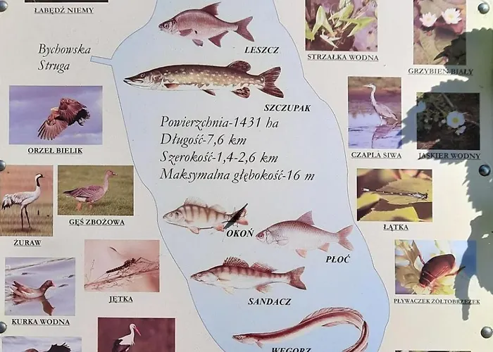 Urokliwy Blisko Jeziora Zarnowieckiego, Prázdninový dům *